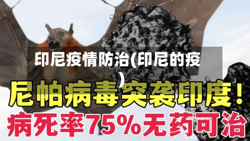印尼疫情防治(印尼的疫)-第3张图片