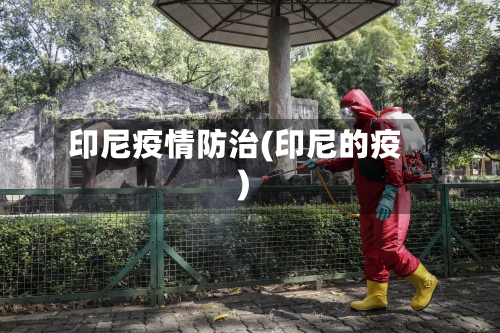 印尼疫情防治(印尼的疫)-第2张图片