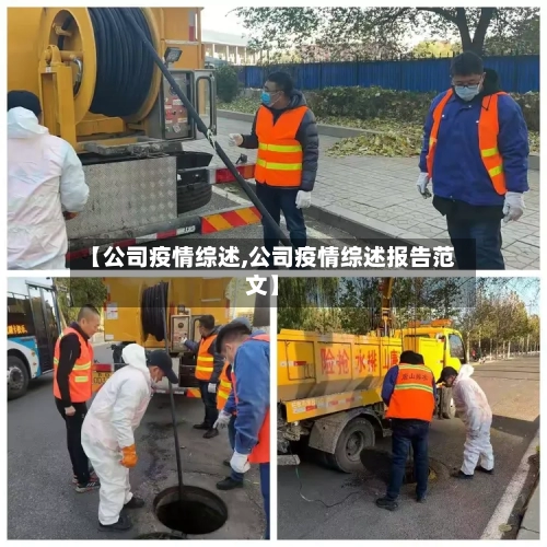 【公司疫情综述,公司疫情综述报告范文】