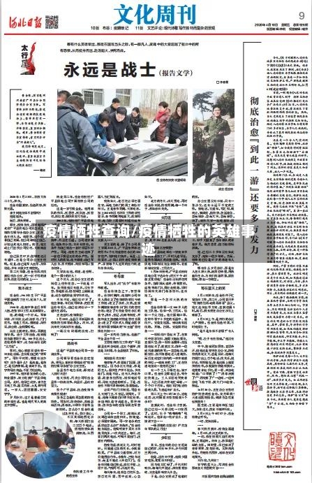 疫情牺牲查询/疫情牺牲的英雄事迹