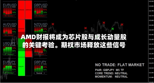 AMD财报将成为芯片股与成长动量股的关键考验。期权市场释放这些信号-第2张图片