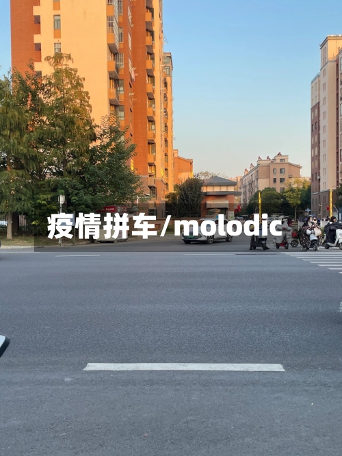 疫情拼车/molodic