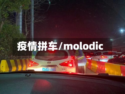 疫情拼车/molodic-第2张图片