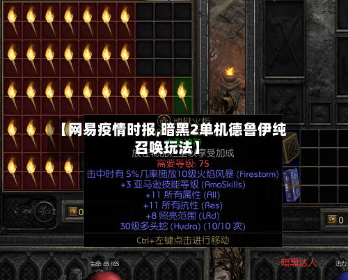 【网易疫情时报,暗黑2单机德鲁伊纯召唤玩法】-第2张图片