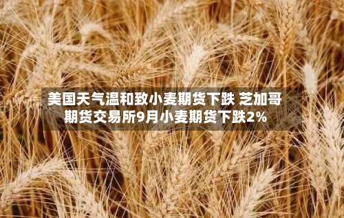 美国天气温和致小麦期货下跌 芝加哥期货交易所9月小麦期货下跌2%