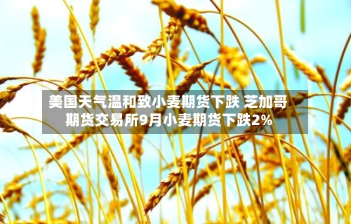 美国天气温和致小麦期货下跌 芝加哥期货交易所9月小麦期货下跌2%-第3张图片