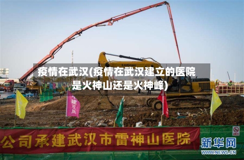 疫情在武汉(疫情在武汉建立的医院是火神山还是火神峰)-第2张图片