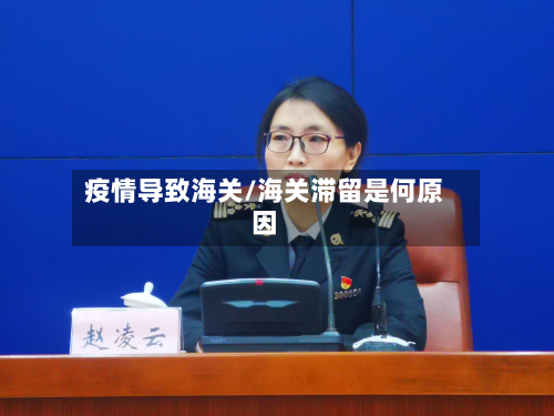 疫情导致海关/海关滞留是何原因-第2张图片