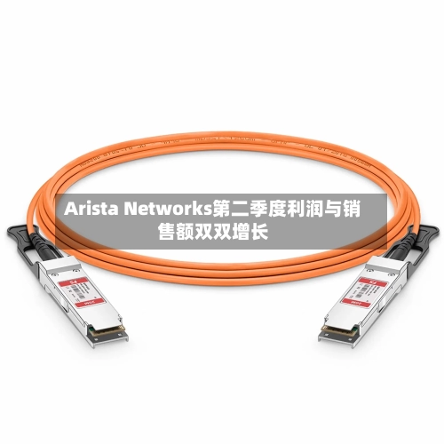 Arista Networks第二季度利润与销售额双双增长