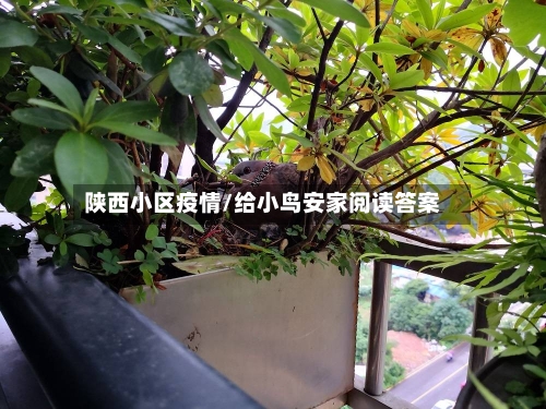 陕西小区疫情/给小鸟安家阅读答案