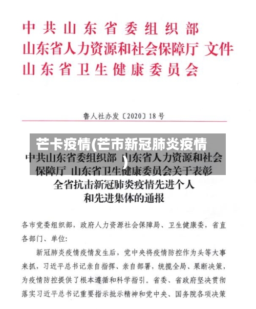 芒卡疫情(芒市新冠肺炎疫情)