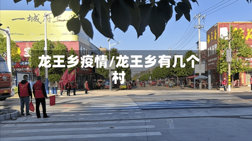龙王乡疫情/龙王乡有几个村