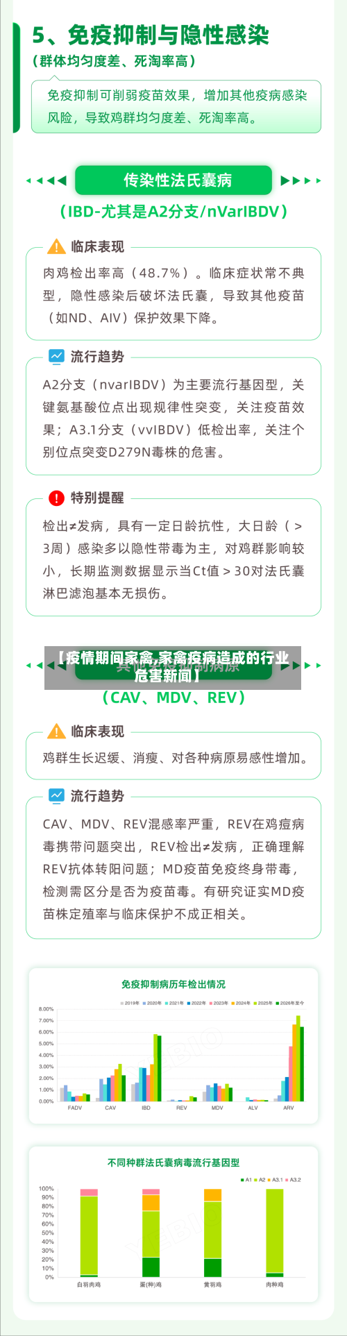 【疫情期间家禽,家禽疫病造成的行业危害新闻】