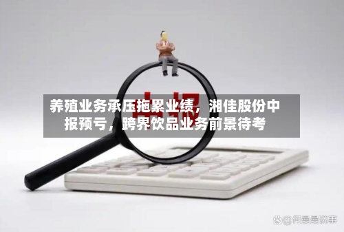 养殖业务承压拖累业绩	，湘佳股份中报预亏，跨界饮品业务前景待考-第2张图片