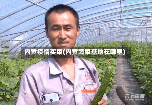 内黄疫情买菜(内黄蔬菜基地在哪里)