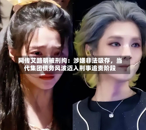网传艾路明被刑拘：涉嫌非法吸存，当代集团债务风波迈入刑事追责阶段