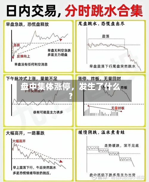 盘中集体涨停，发生了什么？