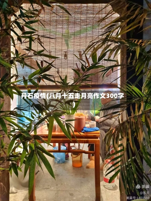 丹石疫情(八月十五走月亮作文300字)