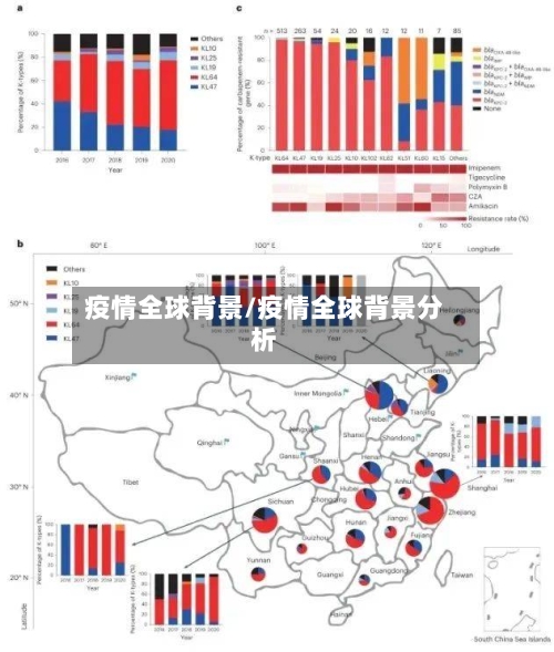 疫情全球背景/疫情全球背景分析