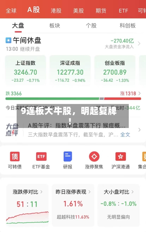 9连板大牛股，明起复牌！-第2张图片