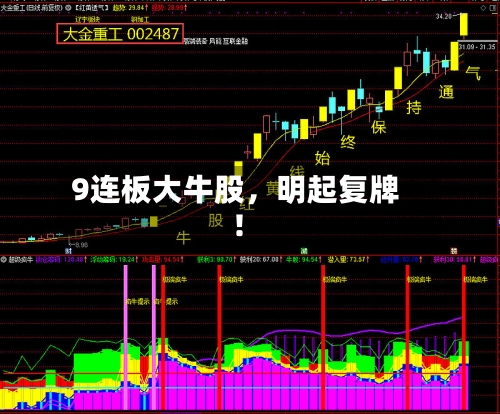 9连板大牛股，明起复牌！
