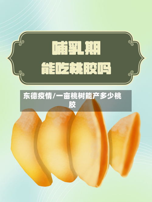 东德疫情/一亩桃树能产多少桃胶