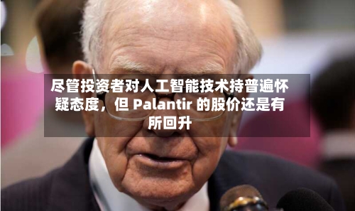 尽管投资者对人工智能技术持普遍怀疑态度，但 Palantir 的股价还是有所回升