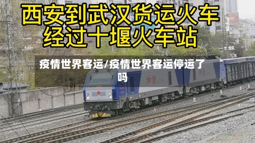 疫情世界客运/疫情世界客运停运了吗