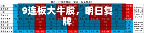 9连板大牛股，明日复牌-第2张图片