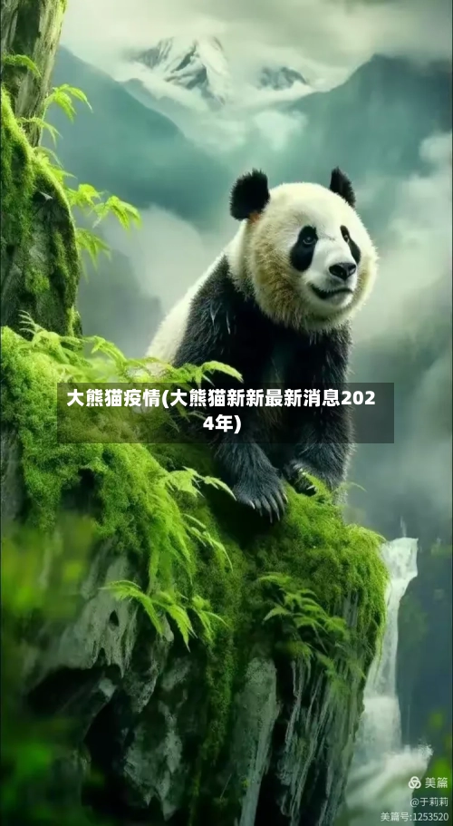 大熊猫疫情(大熊猫新新最新消息2024年)