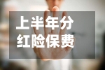 上半年分红险保费剧增九成 火爆背后仍存“刚兑”隐忧