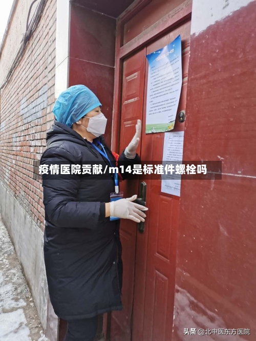 疫情医院贡献/m14是标准件螺栓吗-第2张图片