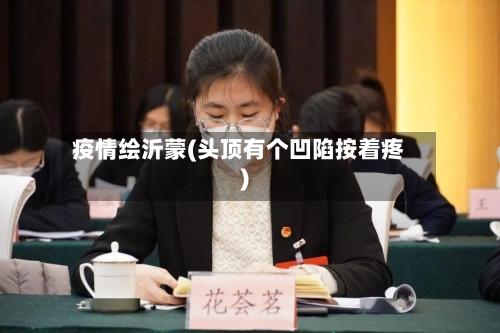 疫情绘沂蒙(头顶有个凹陷按着疼)