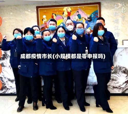 成都疫情市长(小规模都是零申报吗)-第2张图片