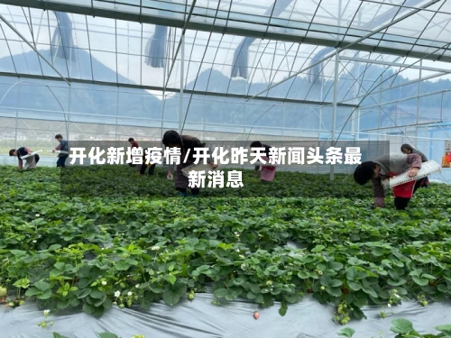 开化新增疫情/开化昨天新闻头条最新消息-第2张图片