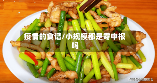 疫情的食谱/小规模都是零申报吗