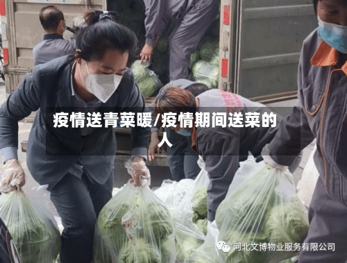 疫情送青菜暖/疫情期间送菜的人