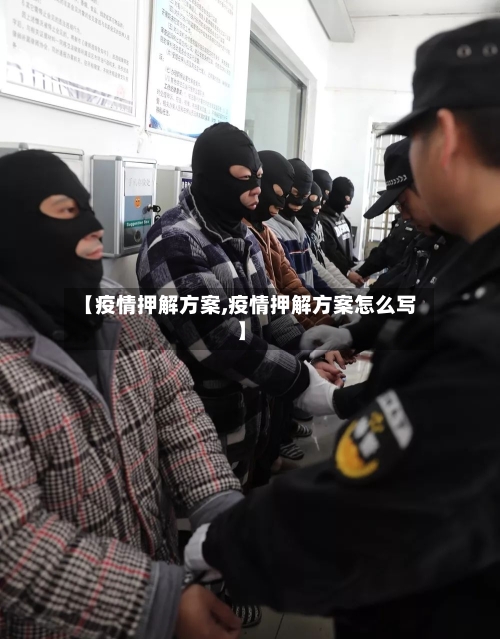 【疫情押解方案,疫情押解方案怎么写】-第2张图片