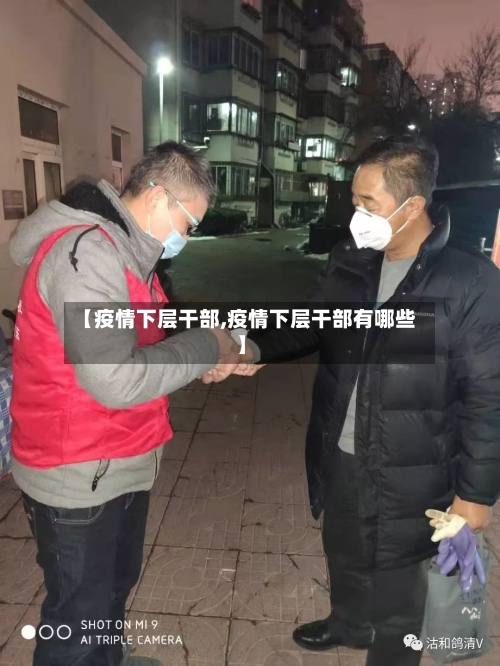 【疫情下层干部,疫情下层干部有哪些】-第2张图片