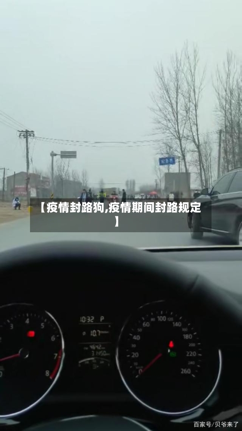 【疫情封路狗,疫情期间封路规定】
