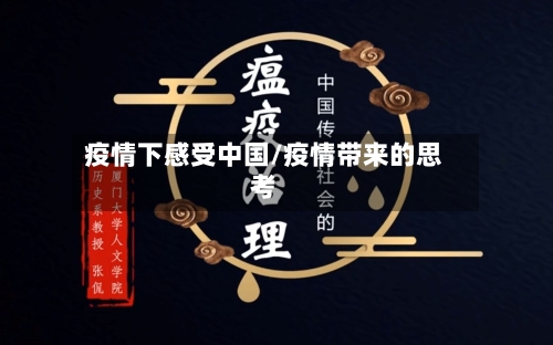 疫情下感受中国/疫情带来的思考