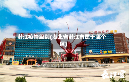潜江疫情级别(湖北省潜江市属于哪个区)-第2张图片