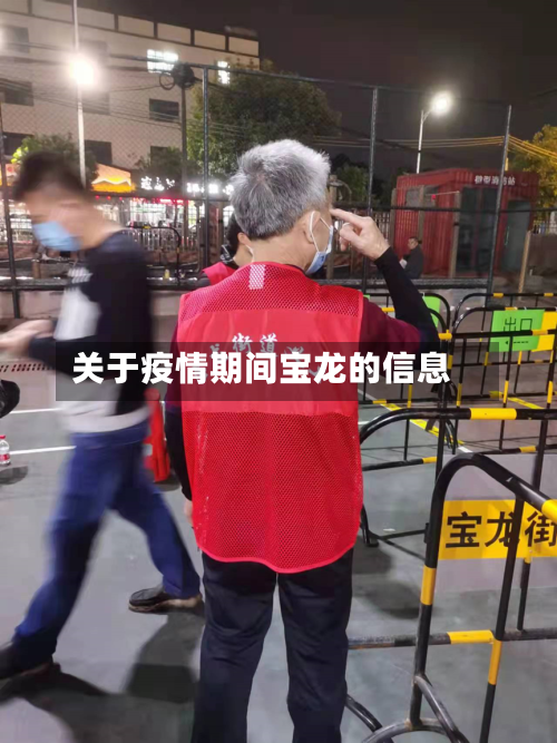 关于疫情期间宝龙的信息-第2张图片