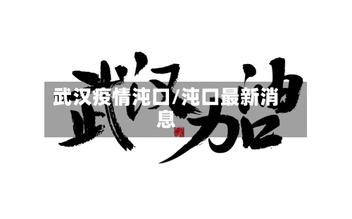 武汉疫情沌口/沌口最新消息