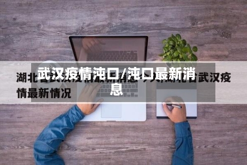 武汉疫情沌口/沌口最新消息-第3张图片