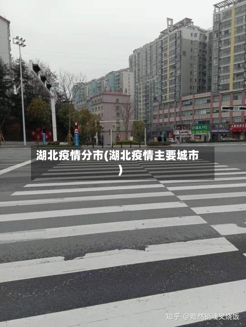 湖北疫情分市(湖北疫情主要城市)-第2张图片
