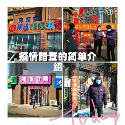 疫情踏查的简单介绍-第2张图片