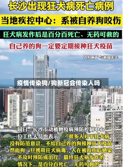 疫情传染狗/狗新冠会传染人吗