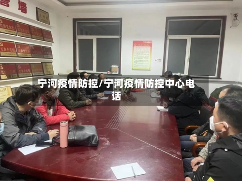 宁河疫情防控/宁河疫情防控中心电话