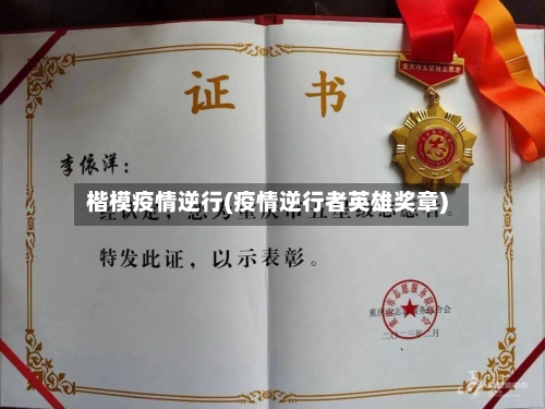 楷模疫情逆行(疫情逆行者英雄奖章)